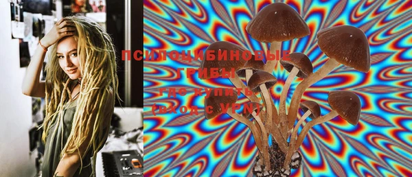 МДПВ Няндома