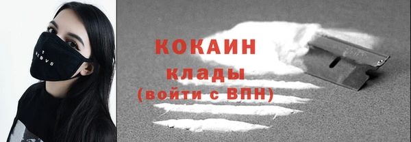 МДПВ Няндома