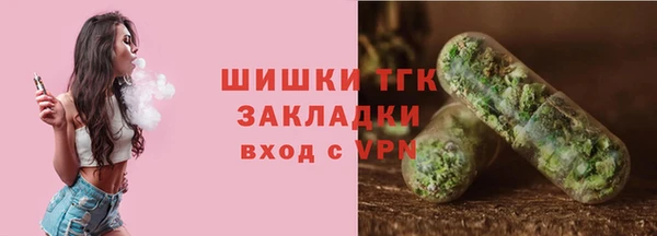 прущие грибы Новозыбков