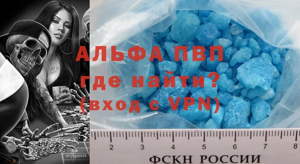 прущие грибы Новозыбков