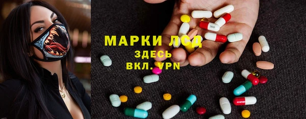 прущие грибы Новозыбков