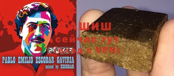 прущие грибы Новозыбков