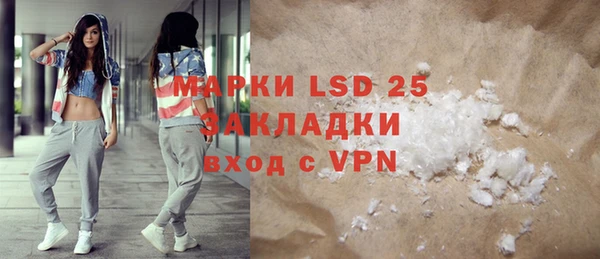 прущие грибы Новозыбков
