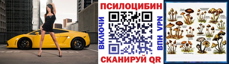 Псилоцибиновые грибы ЛСД Осташков